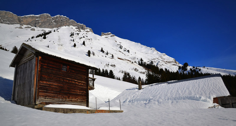 Reblochon fermier alpage des Aravis