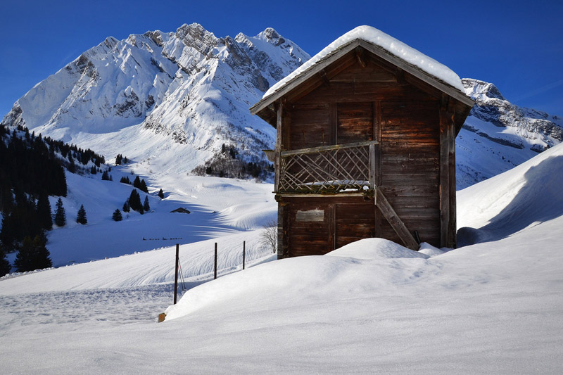 Reblochon fermier alpage des Aravis