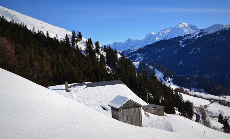 Reblochon fermier alpage des Aravis