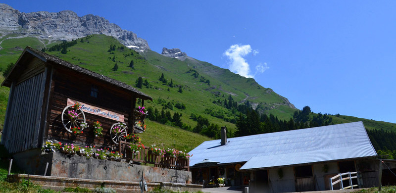 Reblochon fermier alpage des Aravis