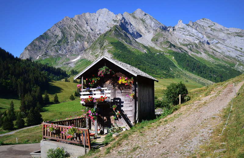 Reblochon fermier alpage des Aravis