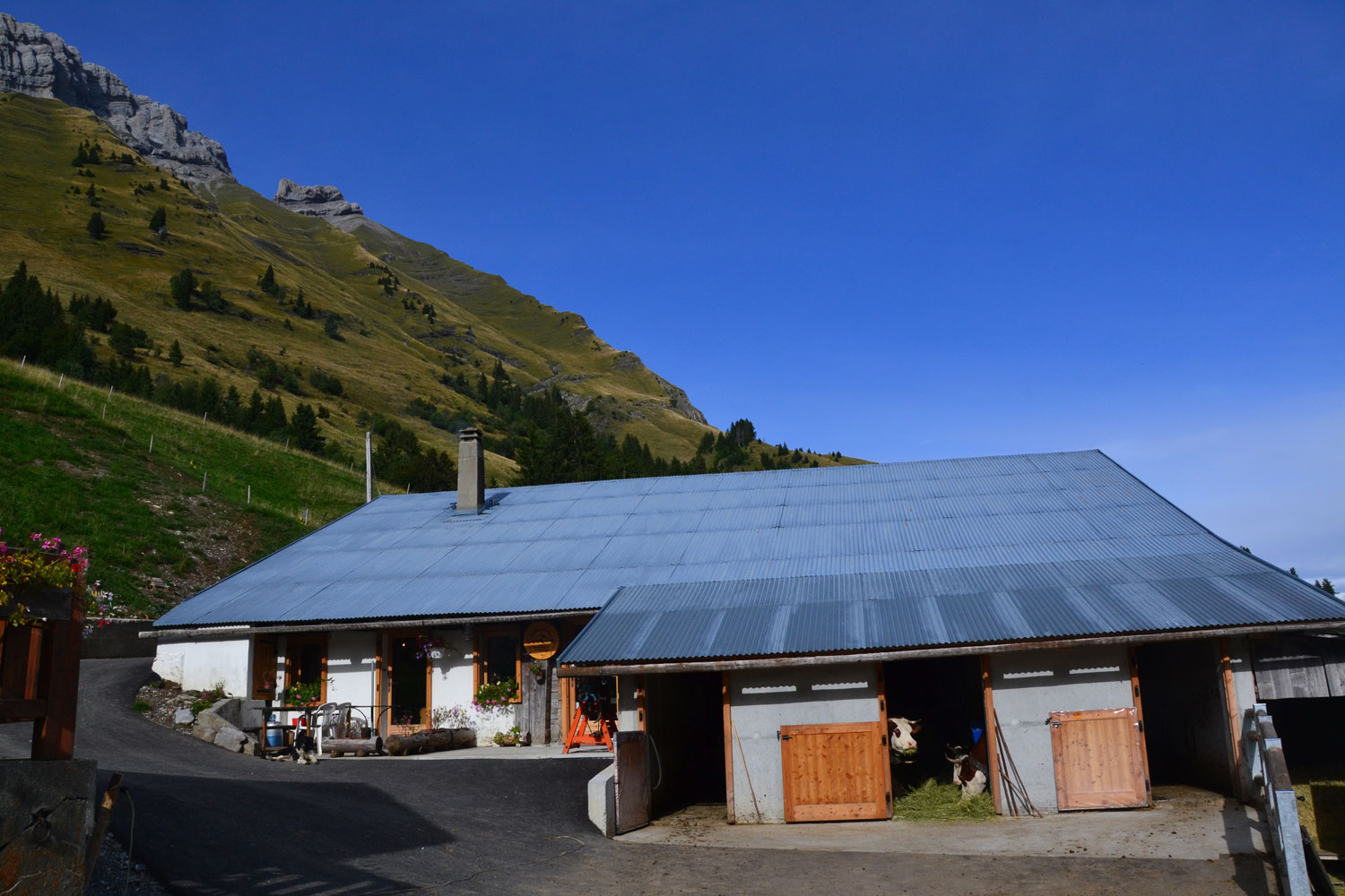 Reblochon fermier alpage des Aravis