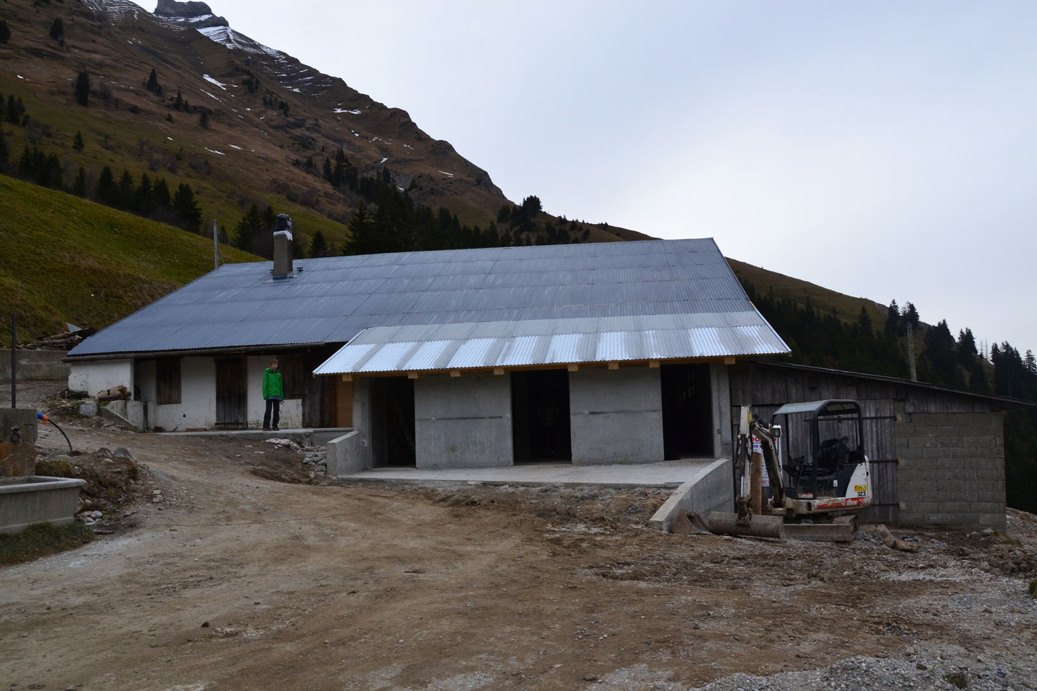 Reblochon fermier alpage des Aravis