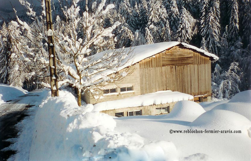 Reblochon Fermier des Aravis notre ferme