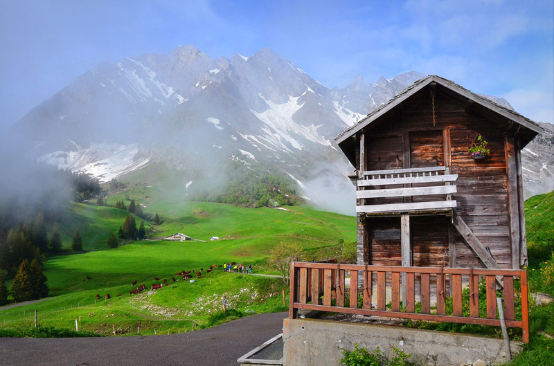 Reblochon Fermier des Aravis Transhumance