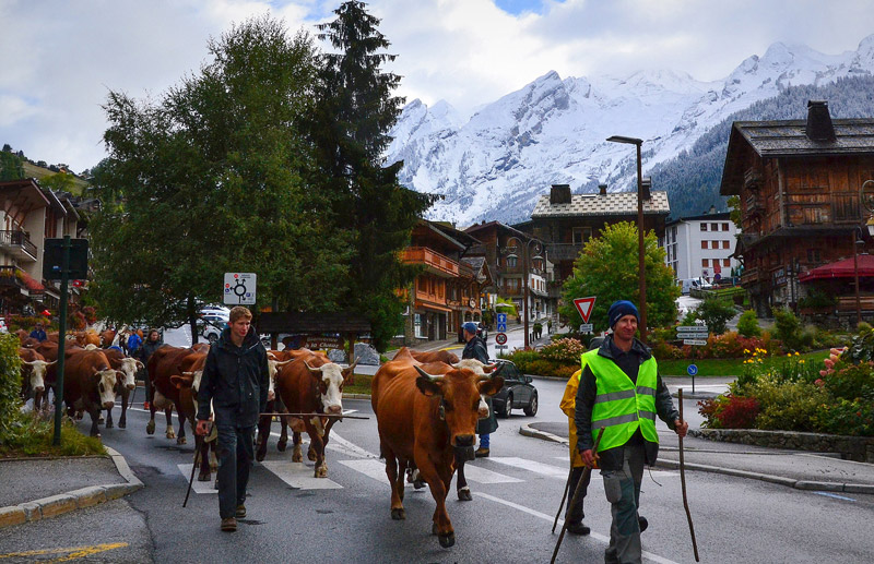 Reblochon Fermier des Aravis Transhumance